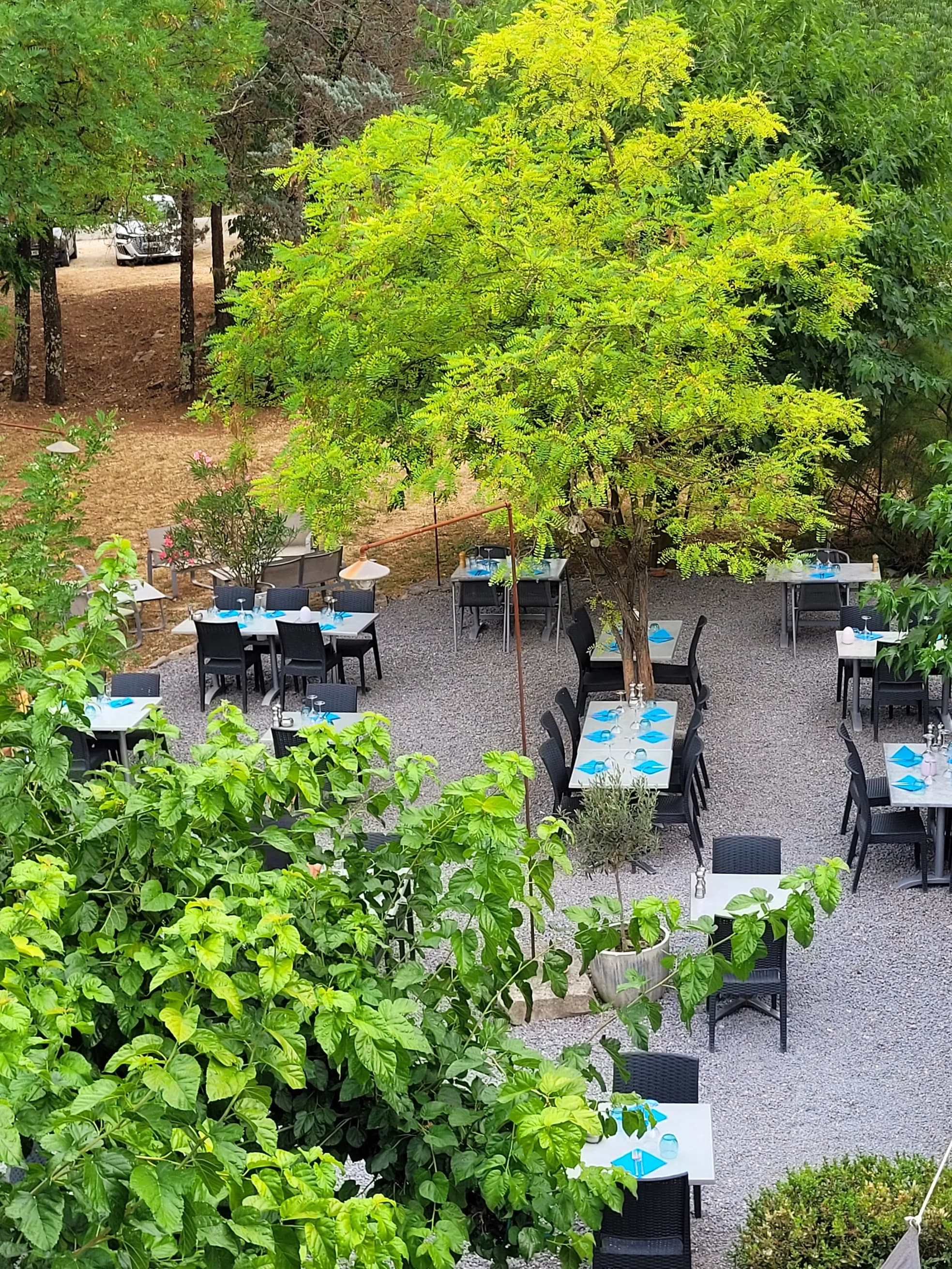 Vue plongeante sur le jardin et ses mûriers centenaires